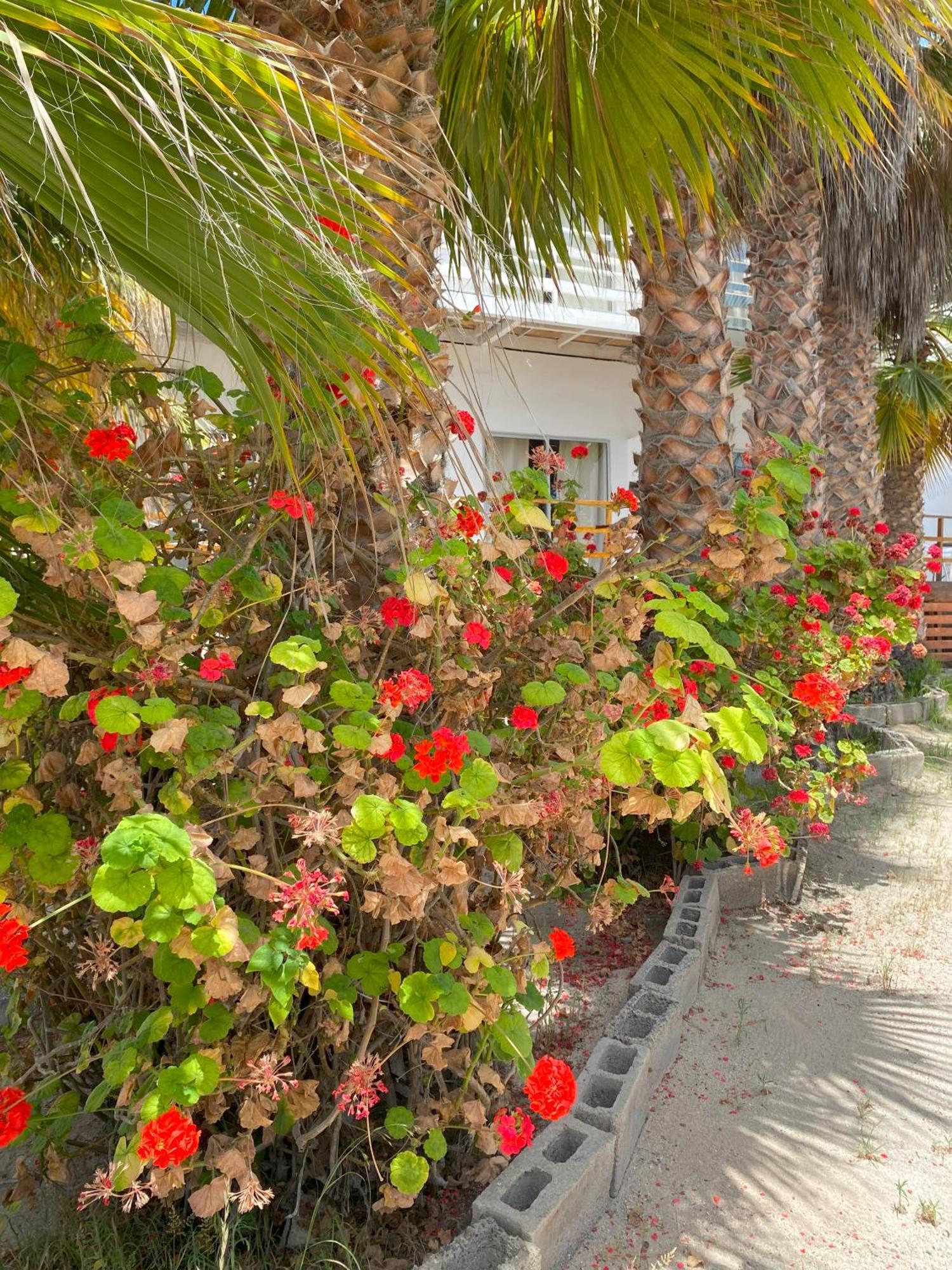 Hotel & Cabanas El Mirador กัลเดรา ภายนอก รูปภาพ
