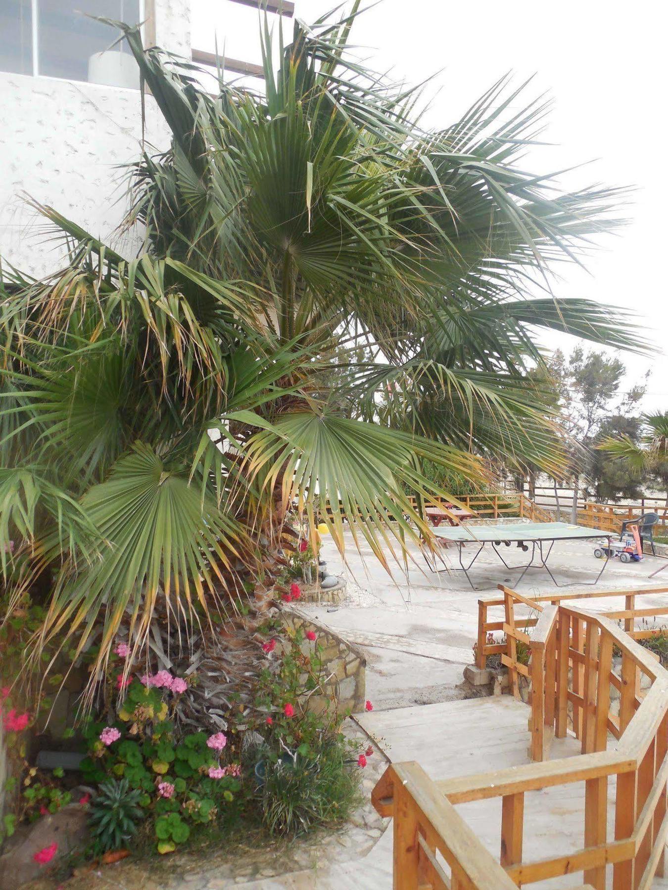 Hotel & Cabanas El Mirador กัลเดรา ภายนอก รูปภาพ